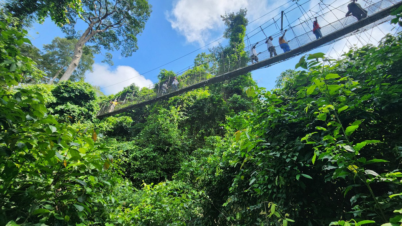 kakum