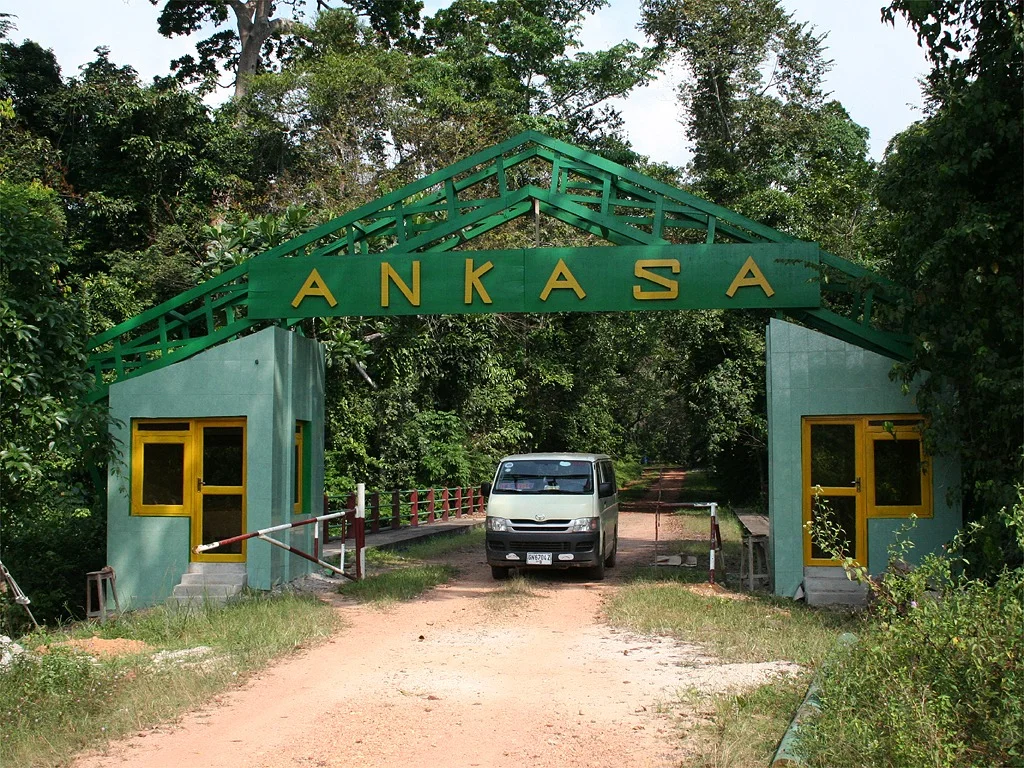 Environment-Ankasa-Conservation-